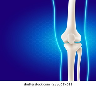 Human leg and knee bones. Medical realistic 3D vector. front of the leg bone. illustration EPS file.