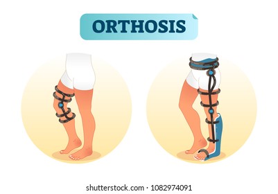 Human leg orthosis medical equipment vector illustration. Knee joint and full leg construction.