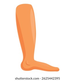 Perna humana mostrando a ilustração da patologia do pé chato