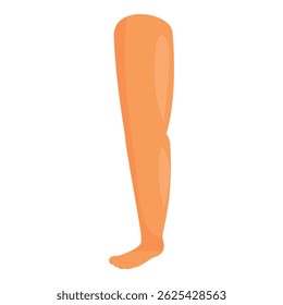 Human leg standing showing knee and foot cartoon icon illustration isolated on white background