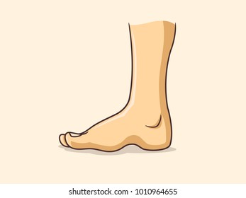 Human Leg Vector Illustration Stock Vector (Royalty Free) 1010964655 ...