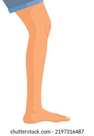 human legs profile, Vector illustration for advertising, medical (health care) publications, animation