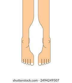 Human legs top view. legs isolated