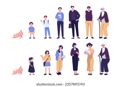 Human life cycle flat vector illustration. Male person aging stages, guy growth phases set. Boy growing up from little child to oldster character. Infancy, childhood, adulthood and senility.