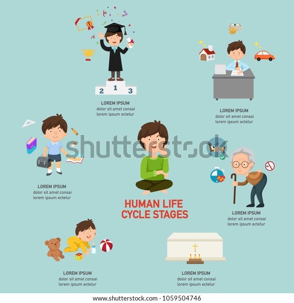 Human Life Cycle Stages