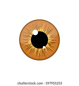 Human light brown eyeball iris pupil isolated on white background. Eye Vector Illustration