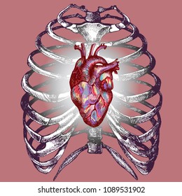 Human light colorful heart in the rib cage. Hand drawn vector symbolic illustration for your unusual design. 