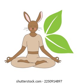 human like bunny in meditative pose