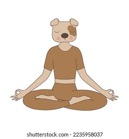 humano como gato en posición meditativa