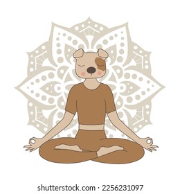 human like dog in meditative pose