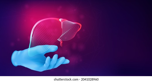 Human liver 3D silhouette on a doctor's hand in realistic rubber glove. Anatomical medical concept with the wireframe of a human organ on abstract background. Vector illustration in neon lineart style