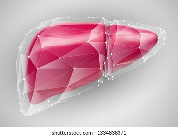 human liver. 3d vector. health and medicine.
organ seal