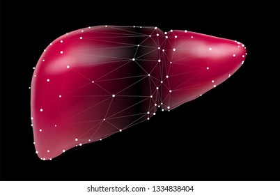 human liver. 3d vector. health and medicine.organ seal