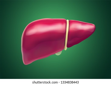 human liver. 3d vector. health and medicine.
organ seal