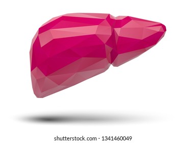 human liver. 3d vector. health and medicine.organ seal
