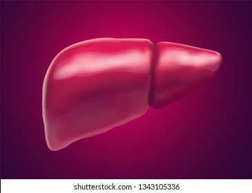 human liver. 3d vector. health and medicine.
organ seal