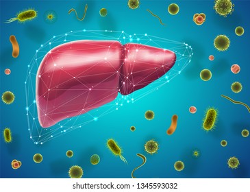 hígado humano. 3d vector. salud y medicina.sello orgánico