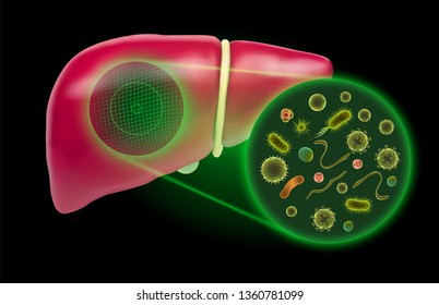 human liver. 3d vector. health and medicine.
organ seal