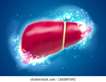 human liver. 3d vector. health and medicine.organ seal