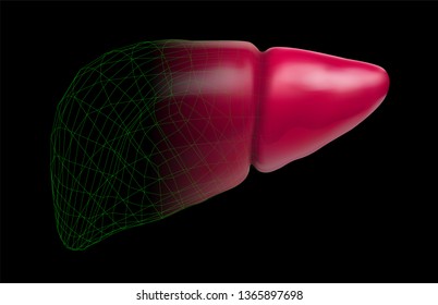 human liver. 3d vector. health and medicine.organ seal