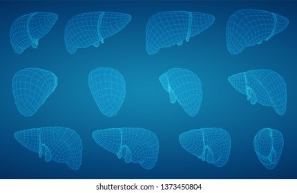 human liver. 3d vector. health and medicine.organ seal