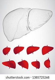 human liver. 3d vector. health and medicine.
organ seal