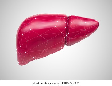 human liver. 3d vector. health and medicine.organ seal