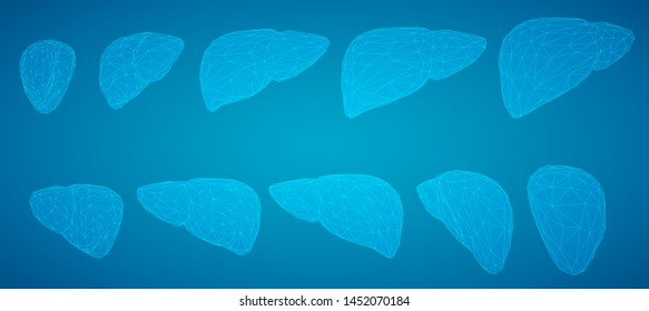 human liver. 3d vector. health and medicine.
organ seal