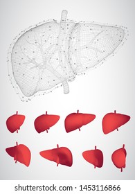 human liver. 3d vector. health and medicine.
organ seal