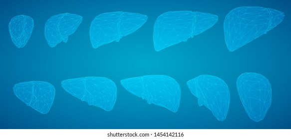 The human liver a 3d vector. health and medicine.