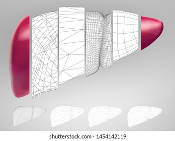The human liver a 3d vector. health and medicine.