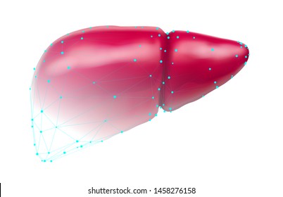 human liver. 3d vector. health and medicine.
organ seal
