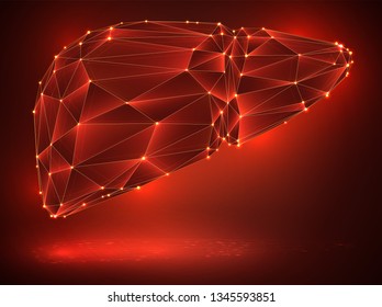 human liver. 3d vector. organ in the style of crystal. triangulator, point, triangle