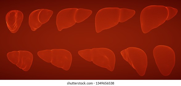 human liver. 3d vector set. health and medicine. organ seal 