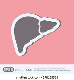 human liver anatomical vector icon medical illustration.