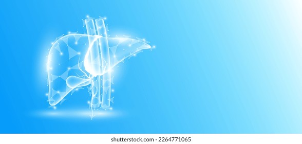 Human liver anatomy form line triangles connecting on blue background. Futuristic glowing organ hologram translucent white and copy space for text. Medical anatomical concept. Modern design vector. - Shutterstock ID 2264771065