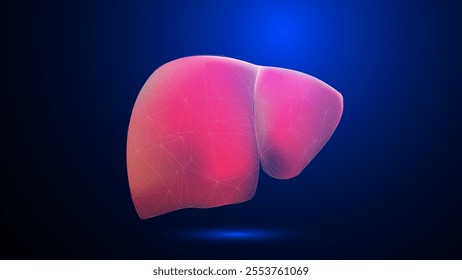 human, liver, anatomy, health, icon, 3d, detoxification, cancer, blue, metabolism, disiase, part, pancreas, abstract, background, organ, vector, healthy, illustration, symbol, hepatic, digital, creati