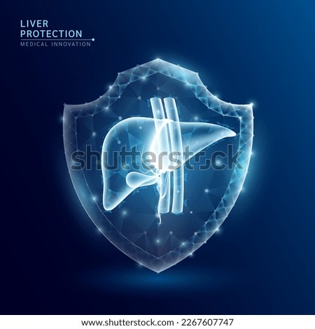 Human liver anatomy organ translucent low poly triangle inside shield futuristic glowing. On dark blue background. Immunity protection medical innovation concept. Vector EPS10.
