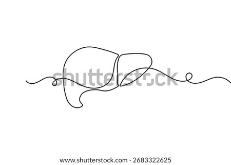 Human liver anatomy outline continuous one line drawing minimalist medical organ vector illustration