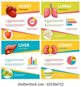Human liver anatomy poster set with infographic. Heart, lungs, liver and kidney poster