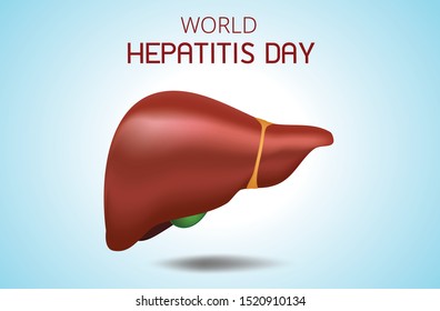 Human liver. Anatomy vector realistic design, World Hepatitis day 28 July, 