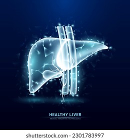 Human liver anatomy white form line triangles connecting on dark blue background. Vector EPS10. Futuristic glowing organ hologram translucent. Health care medical and science concept.