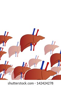 human liver background