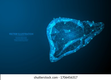 Human liver close-up. Organ anatomy. Diagnosis of the disease cirrhosis, cancer, intoxication, hepatitis. Innovative medicine and technology. 3d low poly wireframe isolated vector illustration.