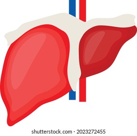 Human Liver Concept Vector color Icon Design, Organ System Symbol, Human Anatomy Sign, Human Body Parts Stock illustration