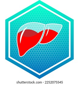 Human Liver Digestive, Hepatic System Healthy Translucent Glass Container Fluid Blood Filled Medical Icon Logo Pictogram Hexagon Isolated on White Background