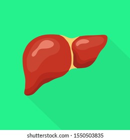 Human liver in digestive system illustration. Human liver anatomy. Human internal organs symbol.