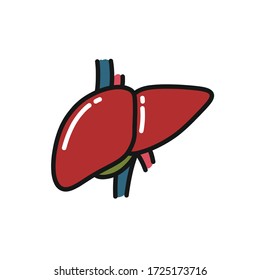human liver doodle icon, vector illustration