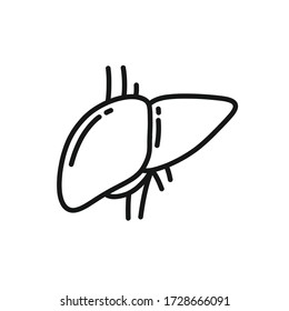 human liver doodle icon, vector illustration