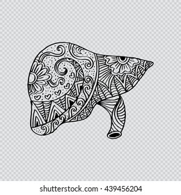 Human liver in doodle style.